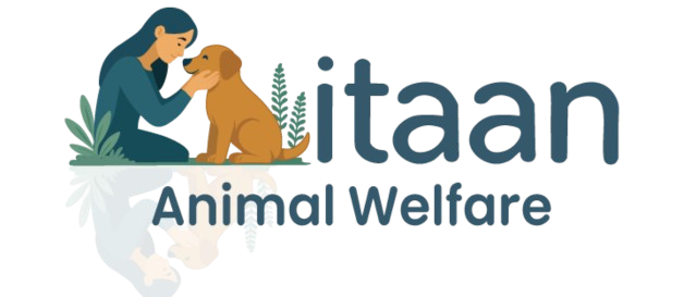 Mitaan Logo