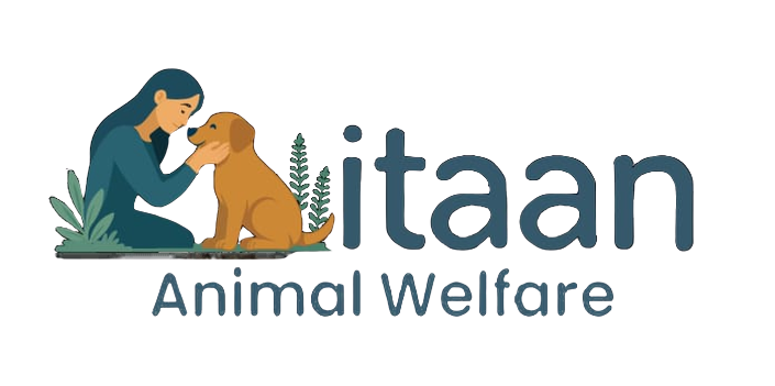 Mitaan Logo